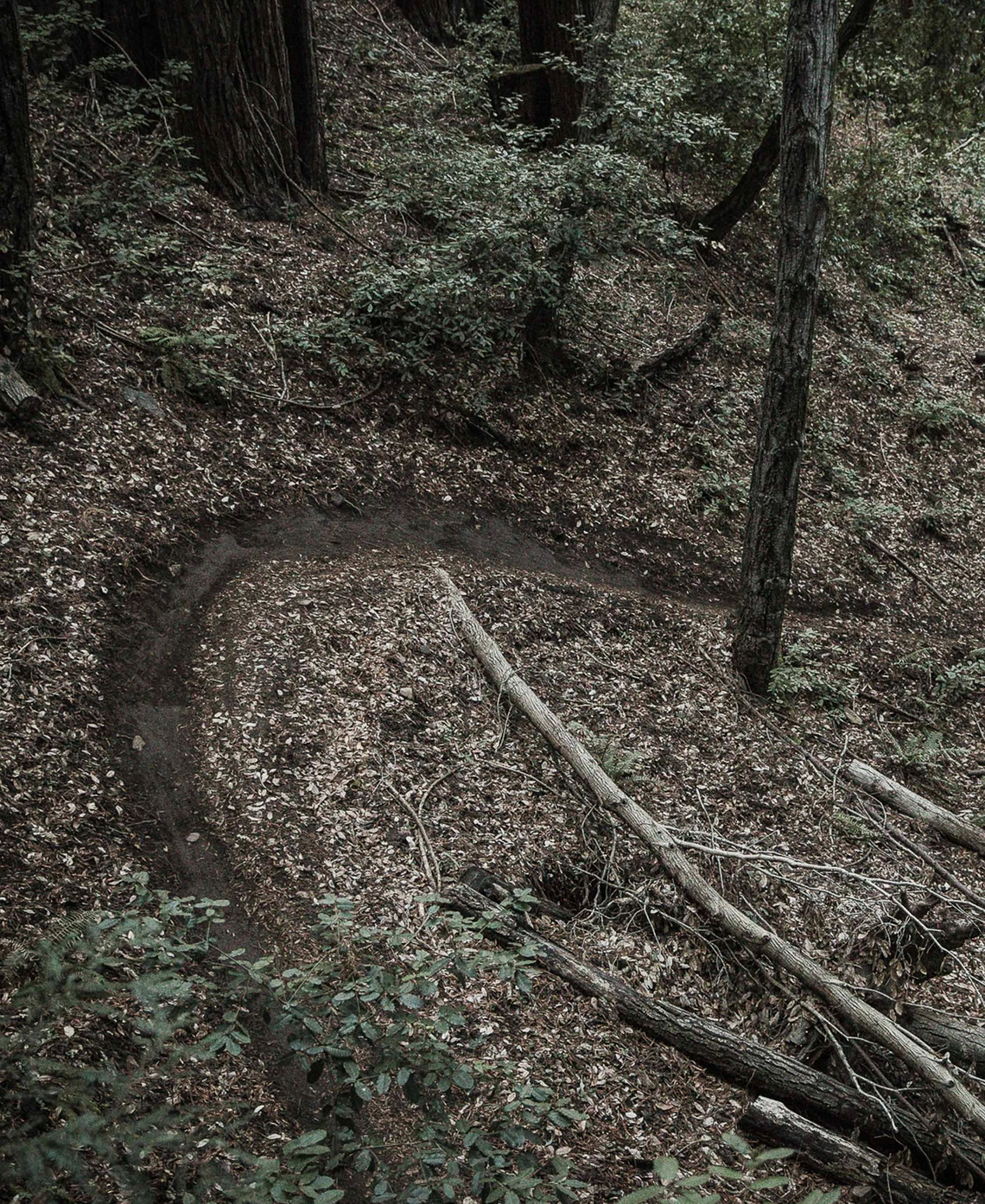 POC Resistance Pro DH Pants 7 POC Resistance Pro DH Pants - Bild 5