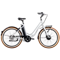 Ecoride Ambassador AXS H-SS 26