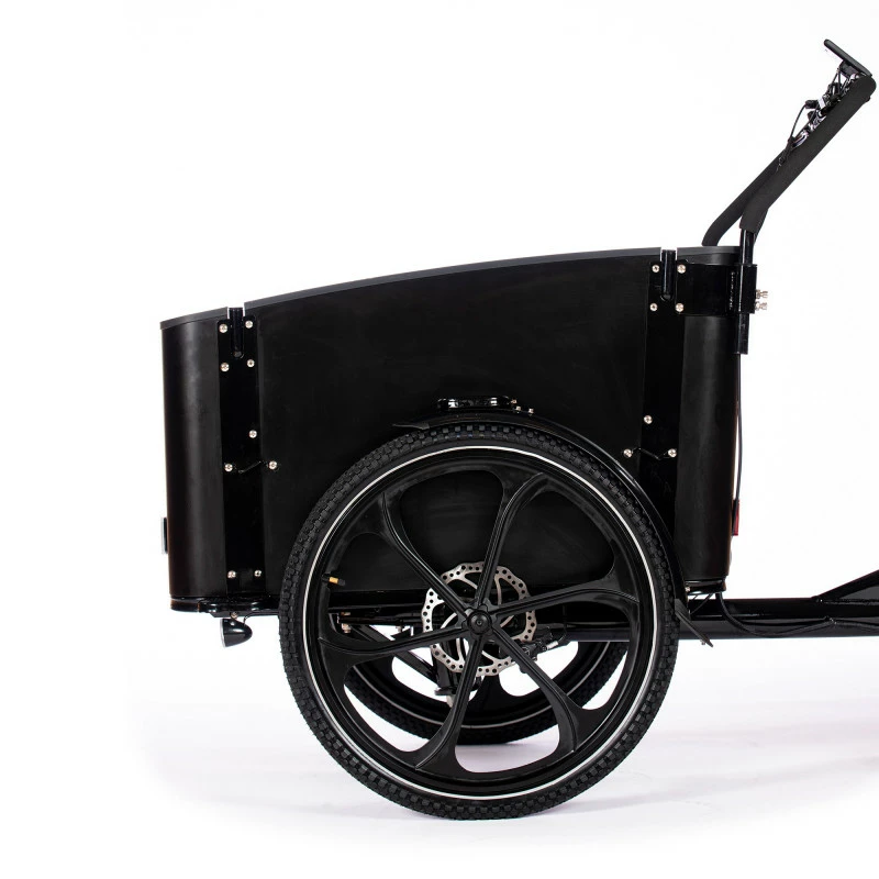 Cargobike Flex 5 Cargobike Flex - Bild 3